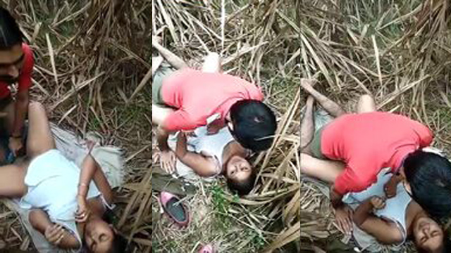 Desi Girlfriend Sharing Sex In Jungle Leaked Free Watch